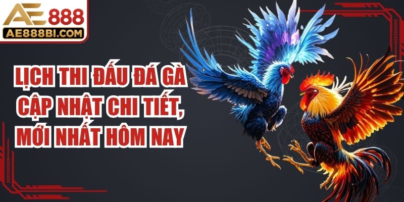 Lịch Thi Đấu Đá Gà
